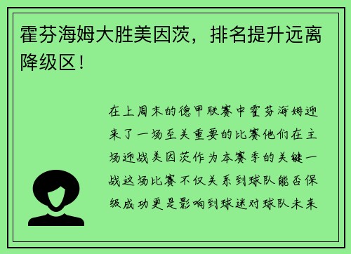 霍芬海姆大胜美因茨，排名提升远离降级区！