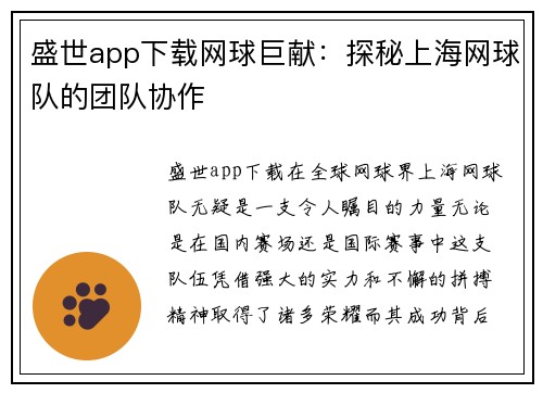 盛世app下载网球巨献：探秘上海网球队的团队协作