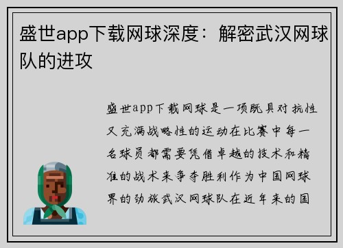 盛世app下载网球深度：解密武汉网球队的进攻
